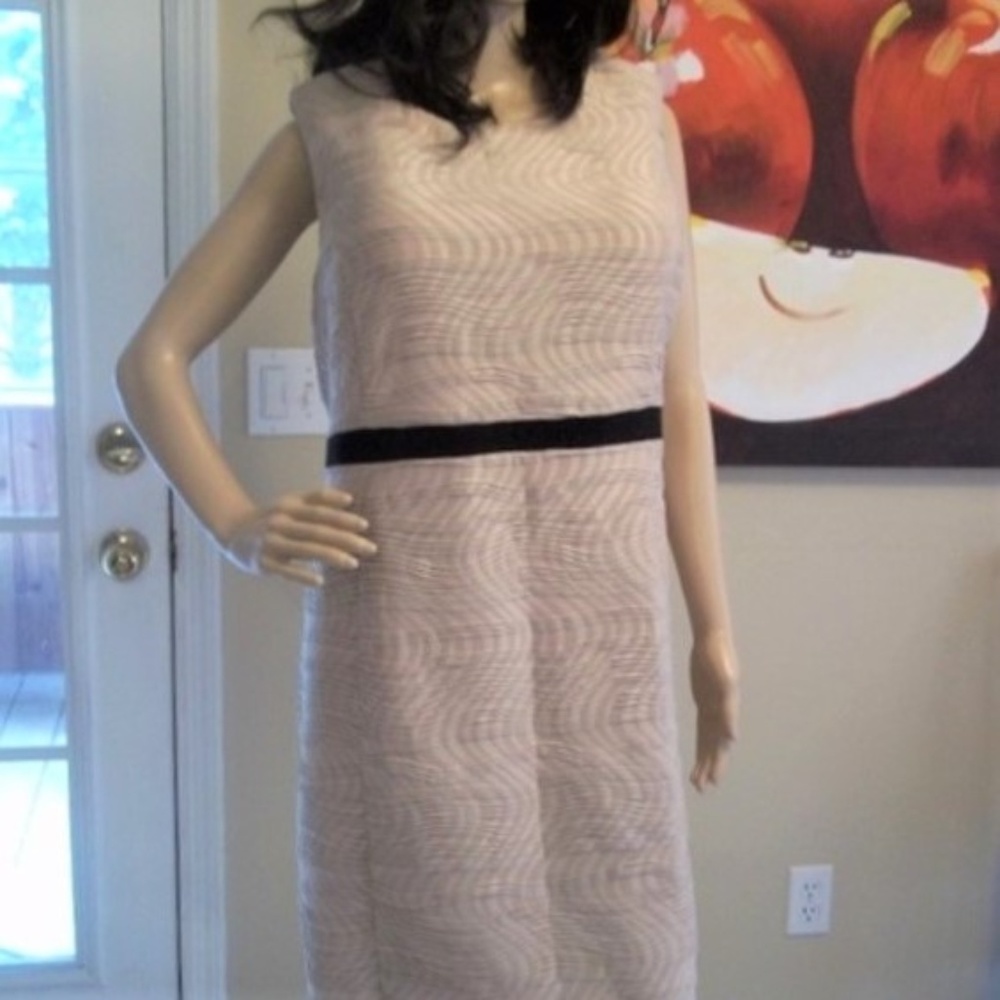 Seam Fitted Sleeveless Dress